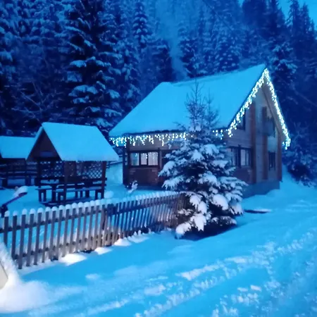 лісова тиша номер - 2 * Synevyrsʼka Polyana