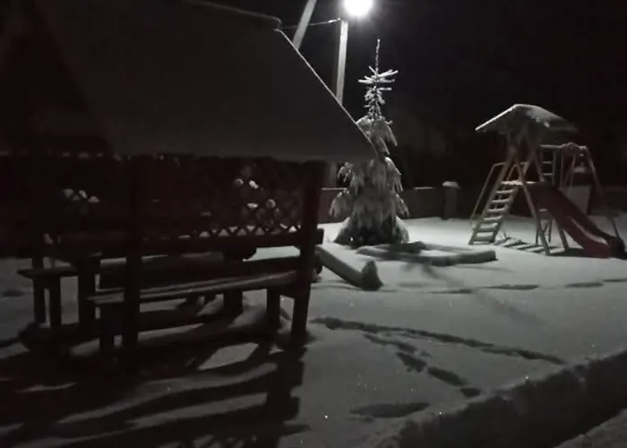 лісова тиша номер - 2 * Synevyrsʼka Polyana