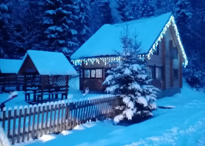 лісова тиша номер - 2 * Synevyrsʼka Polyana